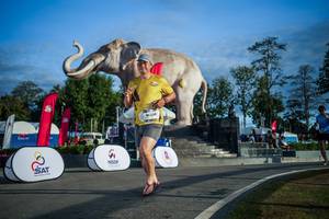 BIB: 
                            <button type="button" onclick="openModal(26541716)" class="btn btn-primary btn-sm float-right btn-popup" data-toggle="modal" data-target=".modal-high-quality">
                        <i class="fas fa-shopping-cart"></i> Add to Cart
                    </button>
                                            <button type="button" onclick="isThisMe(26541716, true)" class="btn btn-success btn-sm float-right btn-popup btn-isme hidden" data-toggle="tooltip" data-placement="bottom" title="นี่คือรูปของคุณใช่ไหม คลิกที่นี่เพื่อเอาเข้าอัลบั้ม">
                        <i class="fas fa-plus"></i> Add to album
                    </button>
                    <button type="button" onclick="isThisMe(26541716, false)" class="btn btn-warning btn-sm float-right btn-popup btn-isnotme hidden">
                        <i class="fas fa-ban"></i> Remove from album
                    </button>